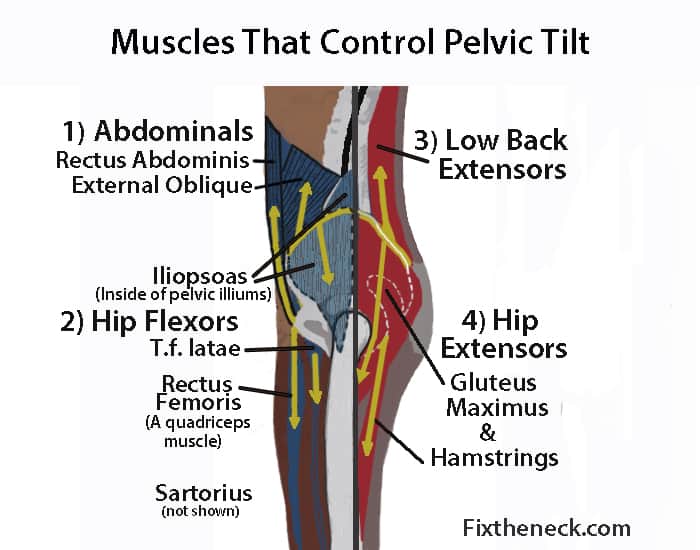 Posterior Pelvic Tilting - Even Simpler - POST COMPETITIVE INSIGHT